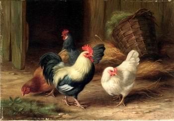 unknow artist Cocks 078 Germany oil painting art